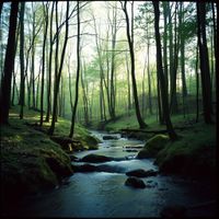 앨범 커버 이미지