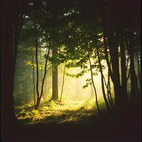 앨범 커버 이미지