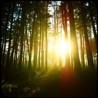 앨범 커버 이미지