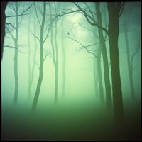 앨범 커버 이미지