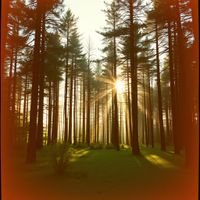 앨범 커버 이미지