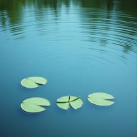 앨범 커버 이미지