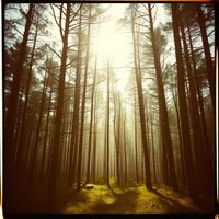 앨범 커버 이미지