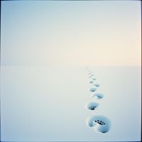 앨범 커버 이미지