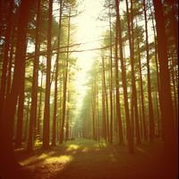 앨범 커버 이미지